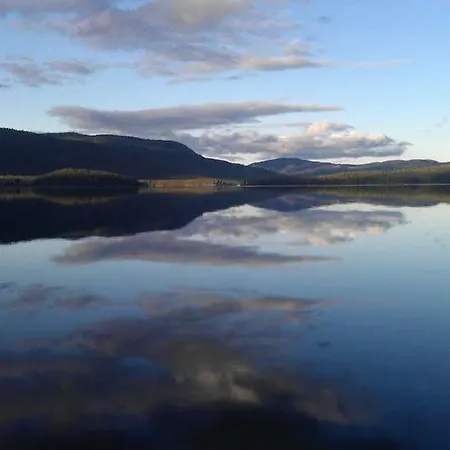 汽车旅馆 Telemark Hauggrend